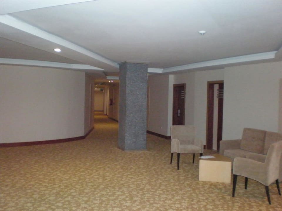 5. Stock Flur Arycanda Kirman Premium