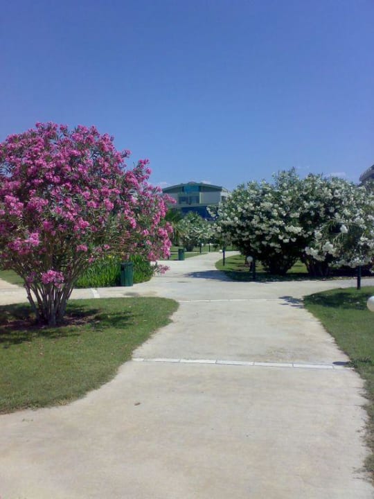 Der Weg zum Strand VONRESORT Golden Coast