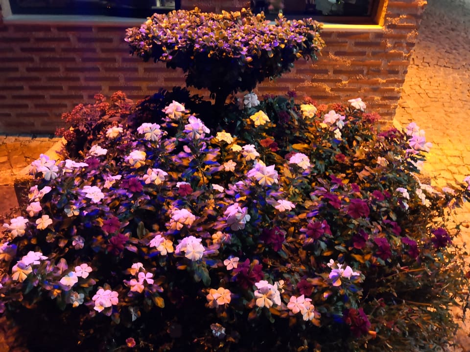 Sonstiges Limak Limra Hotel & Resort