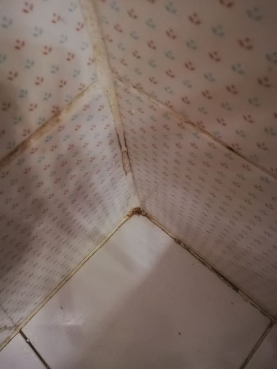 Zimmer Ghazala Gardens