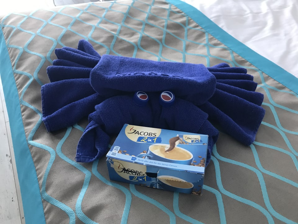 Zimmer Sentido Marea