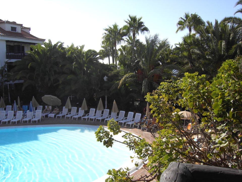 Pool Hotel Parque Tropical