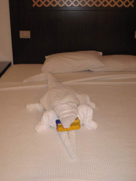 Er will doch nur spielen !! Menaville Safaga