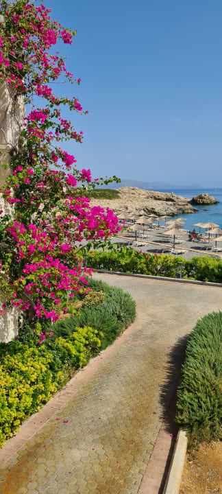 Gartenanlage Kakkos Beach Hotel