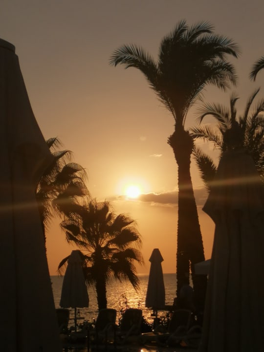 Strand PALOMA Perissia