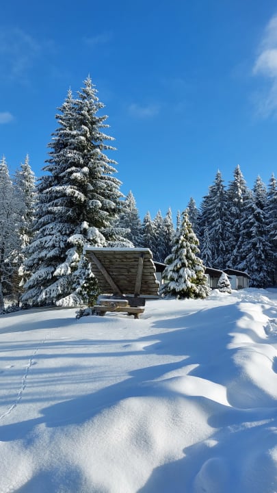 Außenansicht Waldhotel Rennsteighöhe