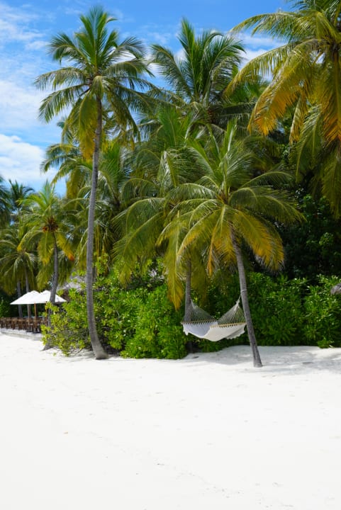 Strand Mirihi Island Resort
