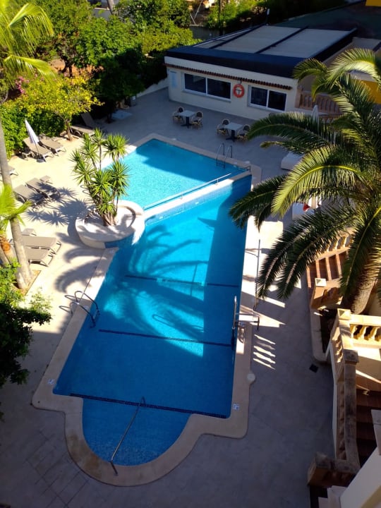 Pool FLOR los Almendros Hotel