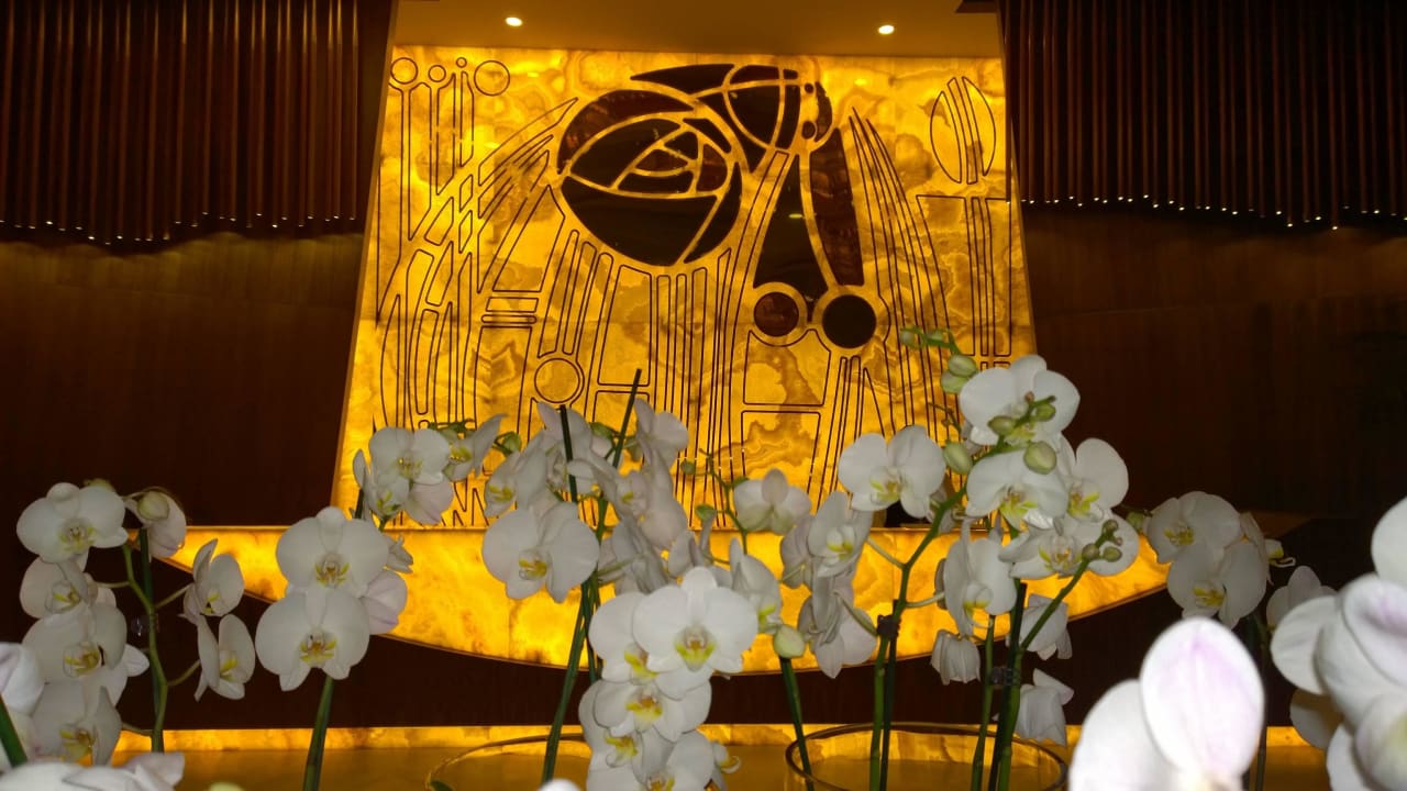 11 Side Star Elegance