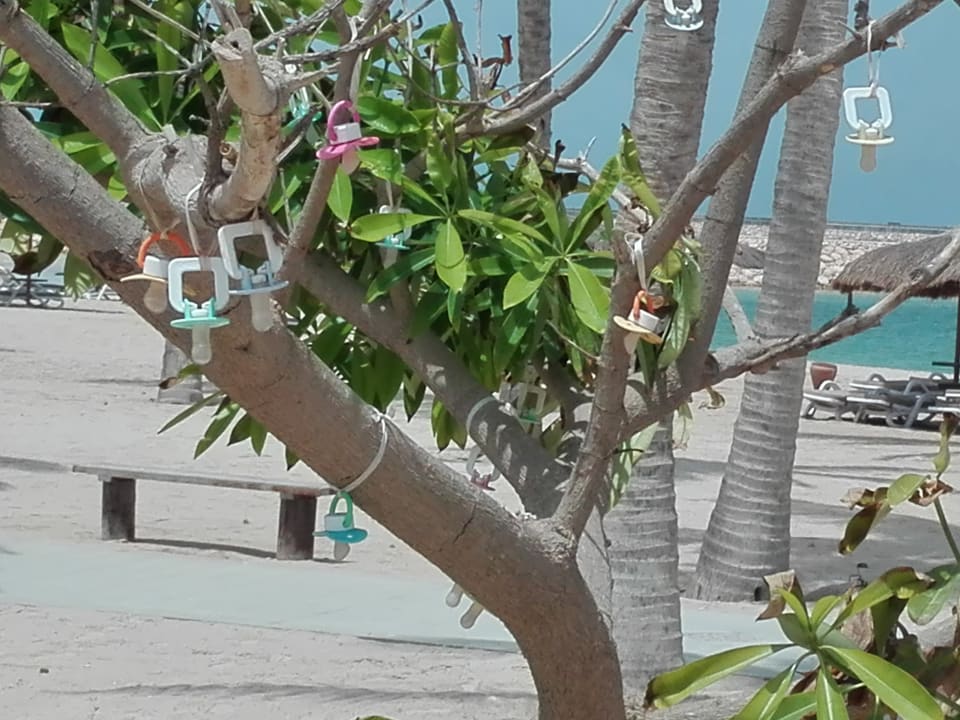 Sonstiges Fanar Hotel & Residences Salalah Beach