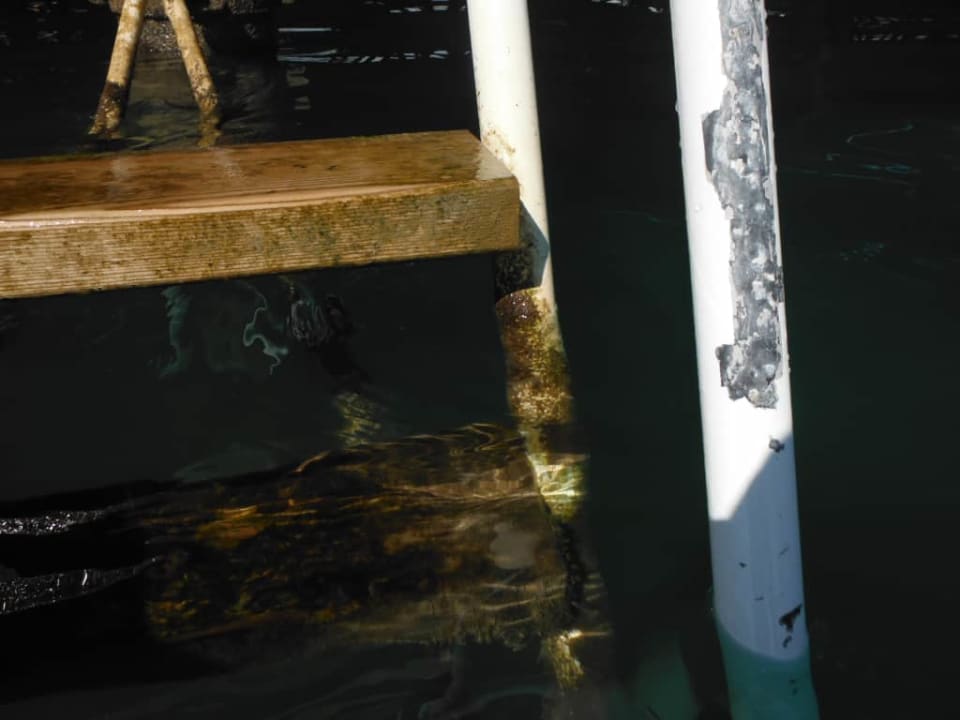 Plaża pomost molo Royal Seginus