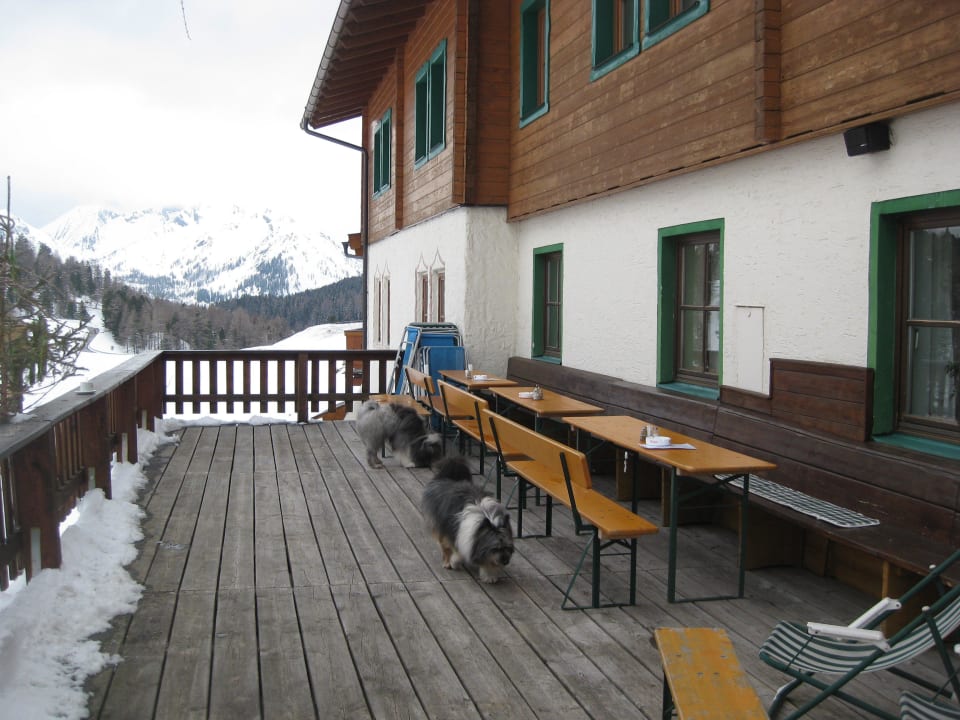 Terrasse Weningeralm