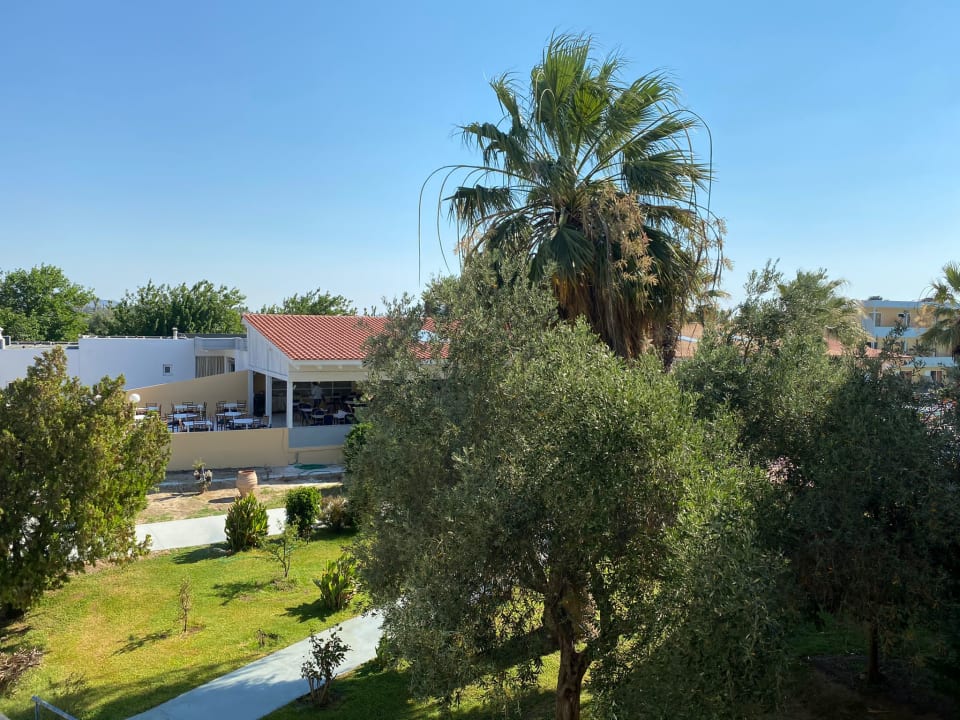 Ausblick Hotel Golden Odyssey