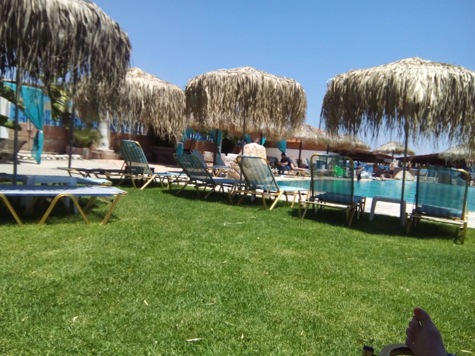 Liegewiese mit Blick auf den Pool Hotel Aquarius Beach