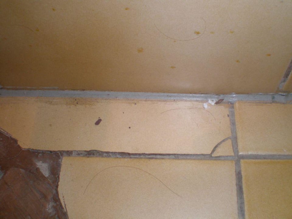 Sauber? Weingut & Gästehaus zum Seeblick - Familie Sattler