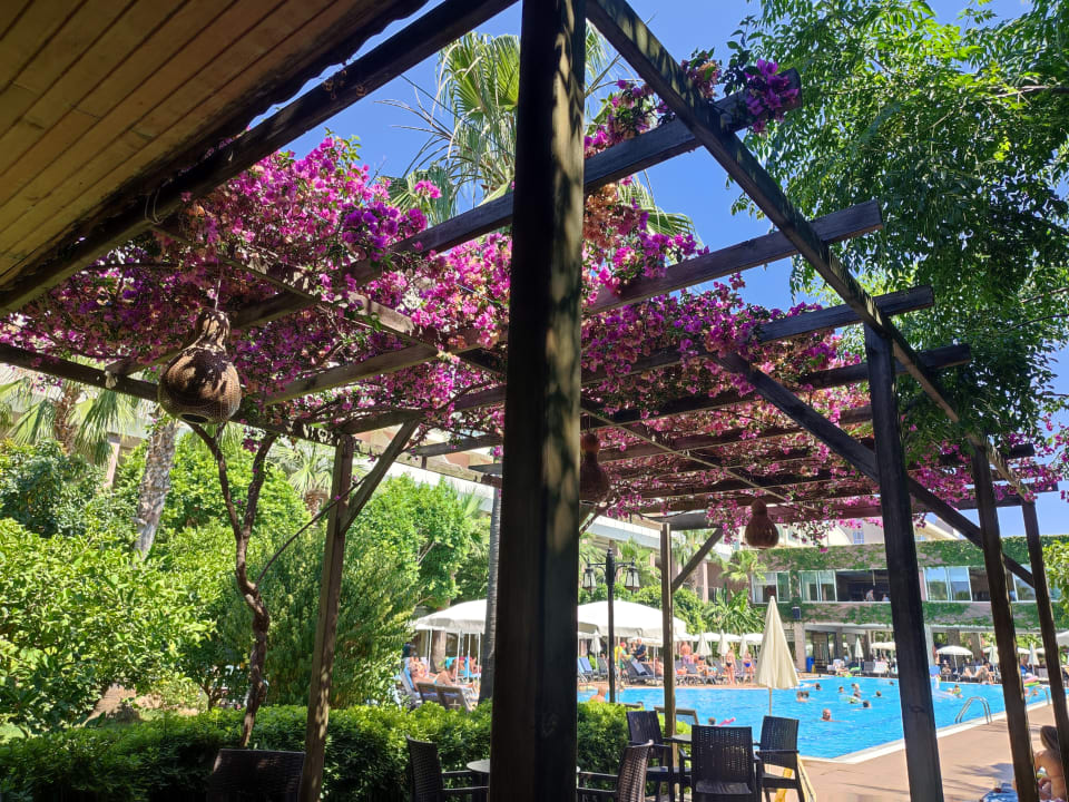 Gastro Telatiye Resort