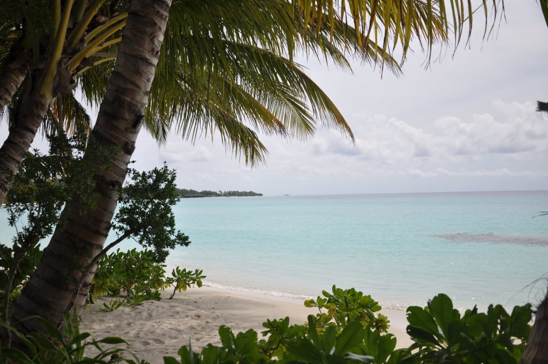 Kuramathi Kuramathi Maldives