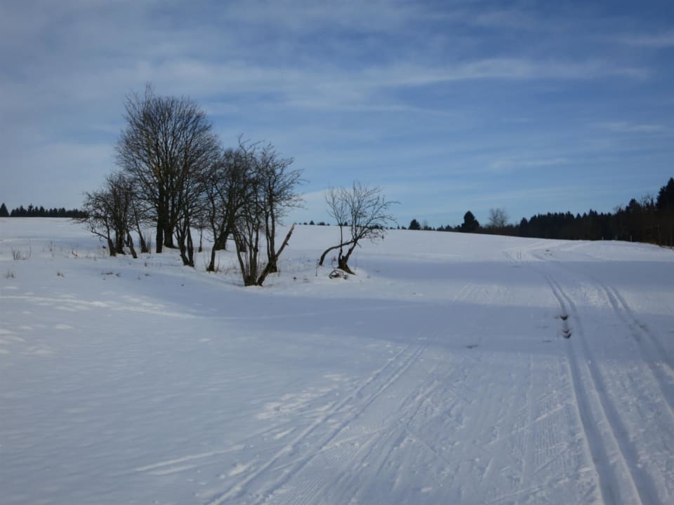 Loipe ab Hotel Werrapark Resort Hotel Heubacher Höhe