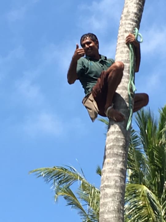 Sonstiges Vilamendhoo Island Resort & Spa