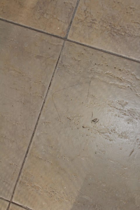 Boden Titanic Beach Spa & Aqua Park