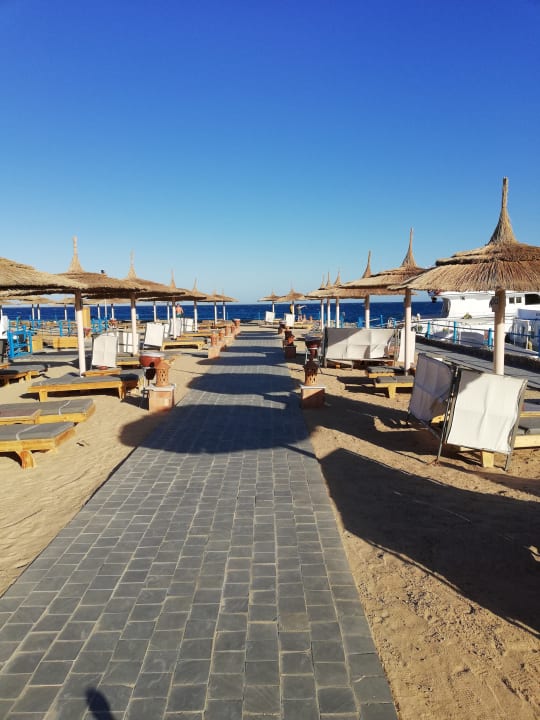 Rechter Strand-/Liegenbereich Beach Albatros Resort