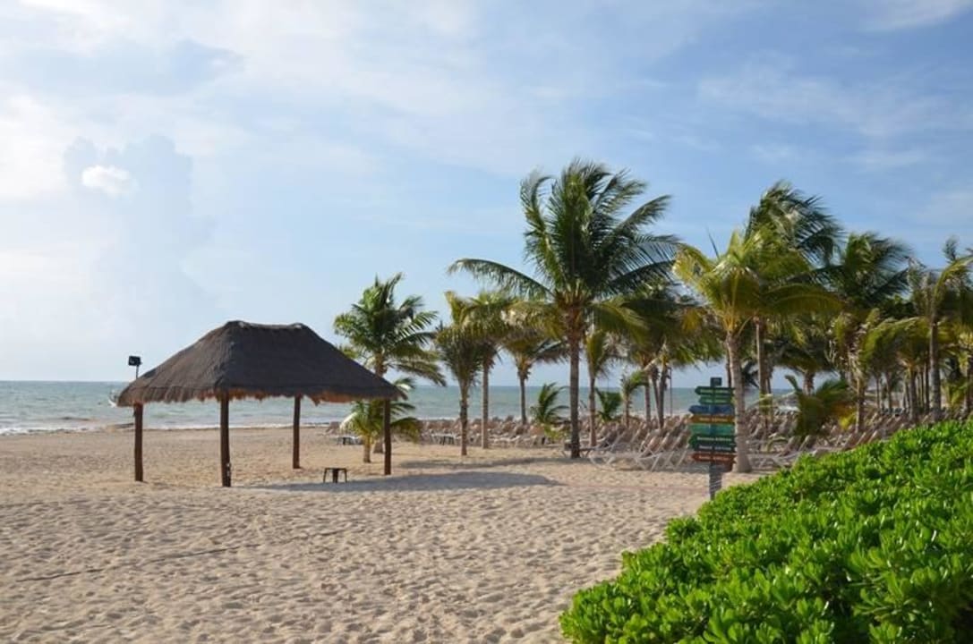 Strand am Morgen Catalonia Playa Maroma