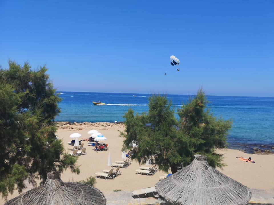 Ausblick Alexander Beach Hotel & Village Resort