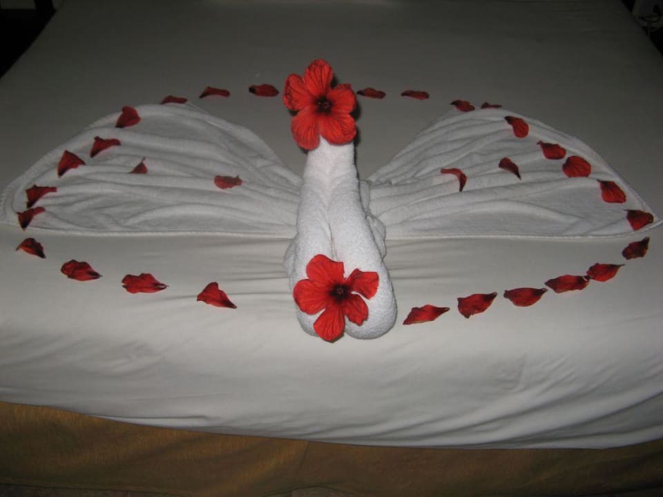 Łabądek Parrotel Aqua Park Resort