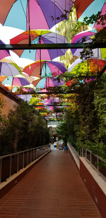 Garten Hane Family Resort