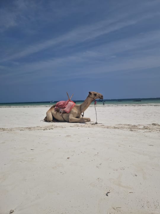 Strand Neptune Paradise Beach Resort & Spa