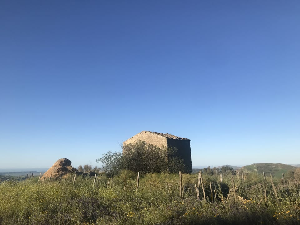 Ausblick Agriturismo Vecchia Masseria