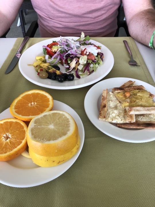 Gastro Seashell Vega