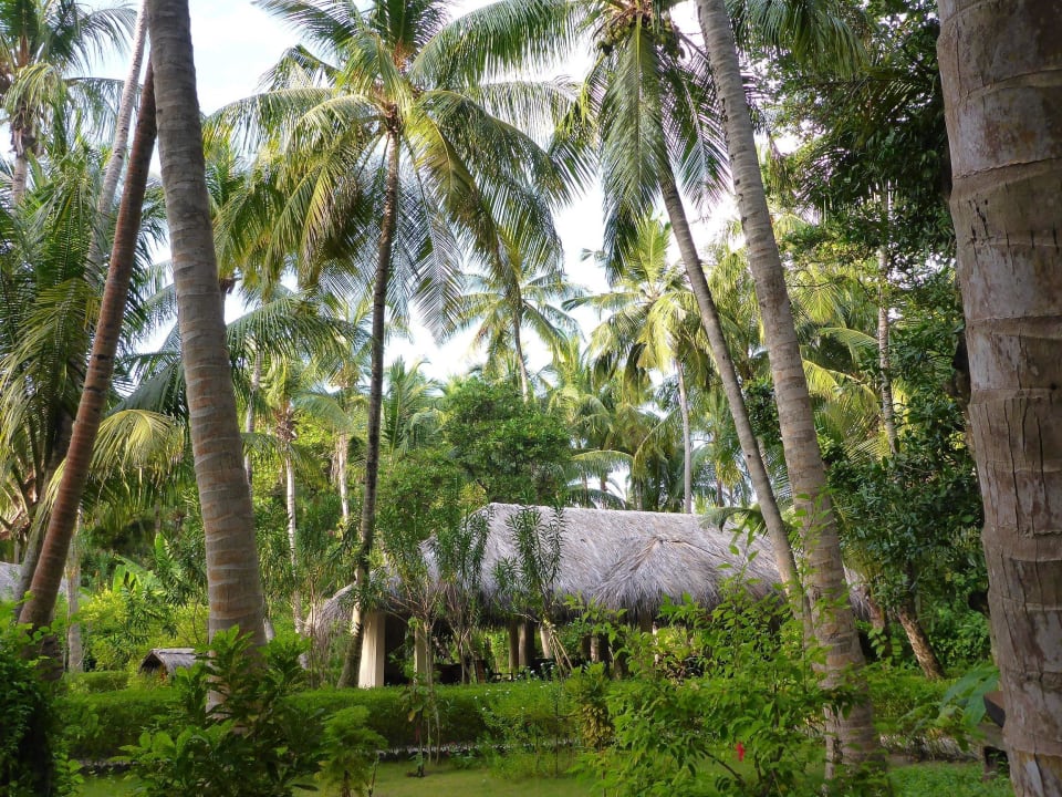 Wellnesscenter Filitheyo Island Resort