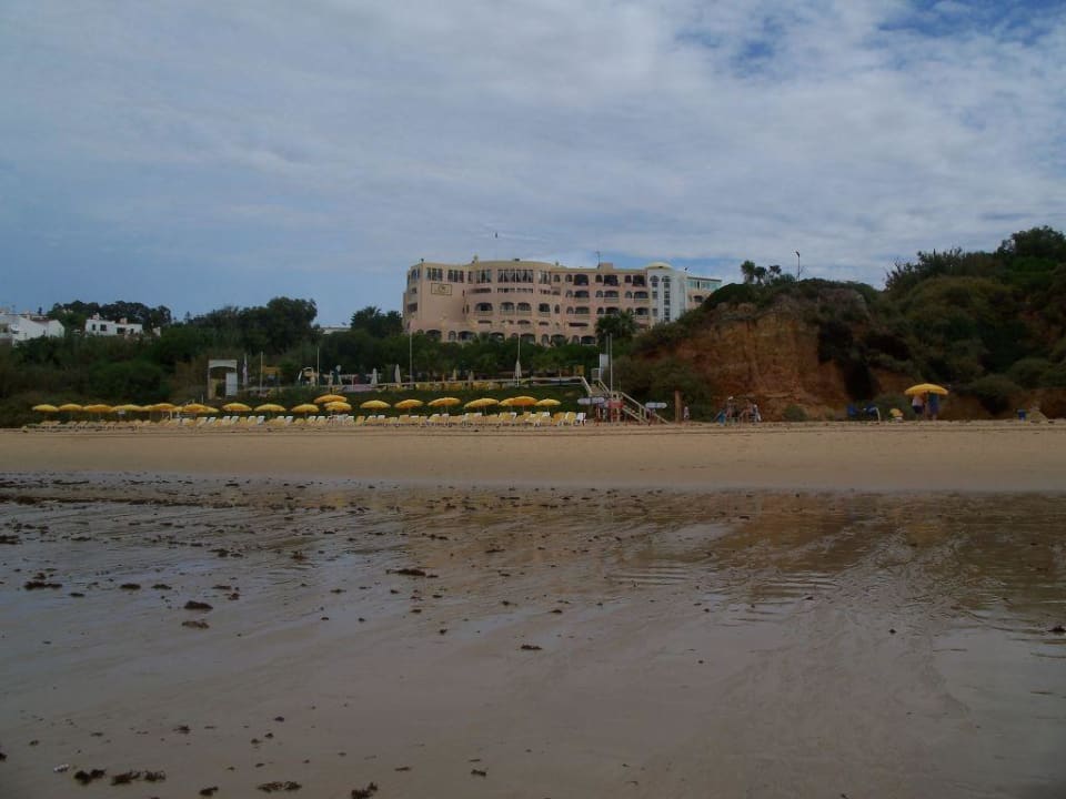 Strand bei Ebbe Monica Isabel Beach Club