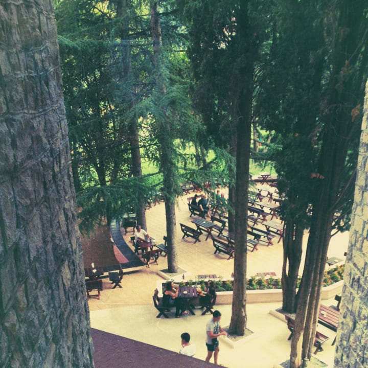 Вид из окна главного корпуса Iberostar Waves Bellevue