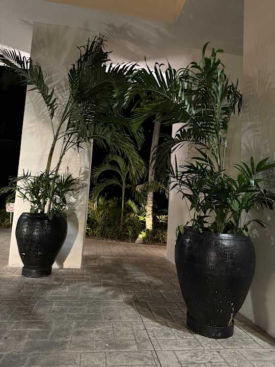 Außenansicht BlueBay Grand Esmeralda