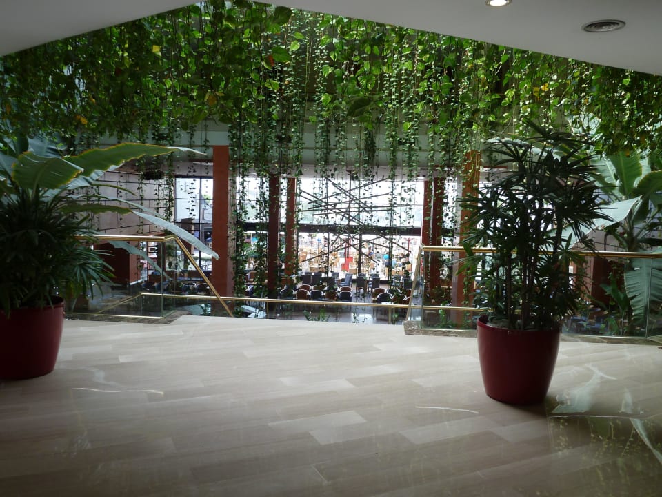 Interieur luxuriant de l'hôtel Alexandre Hotel Gala