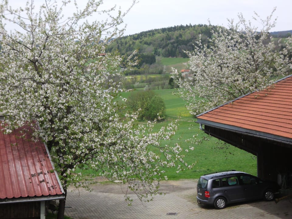 Der Hof Frongahof Eckerl Böhmzwiesel