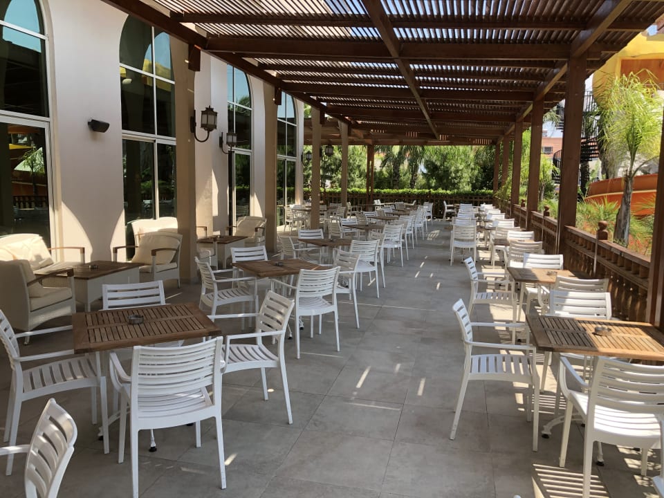 Gastro Well Palace Side