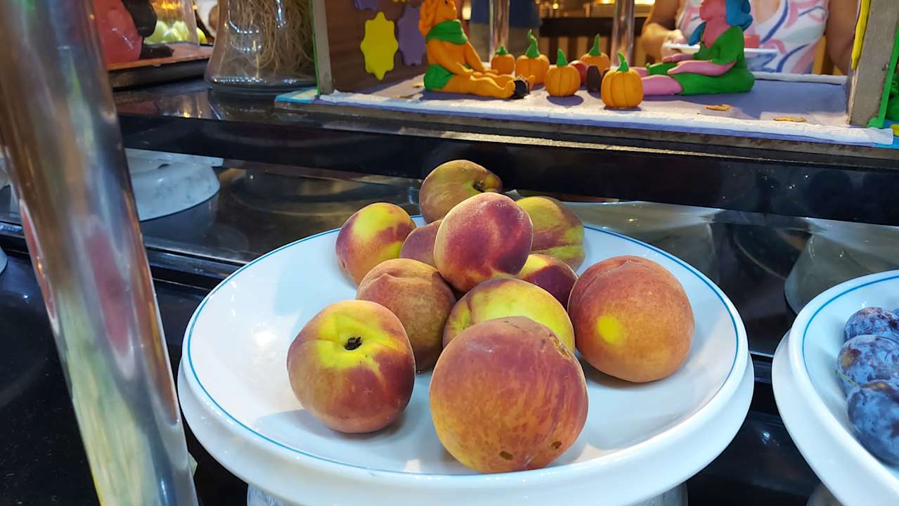 Gastro Hotel Botanik Platinum