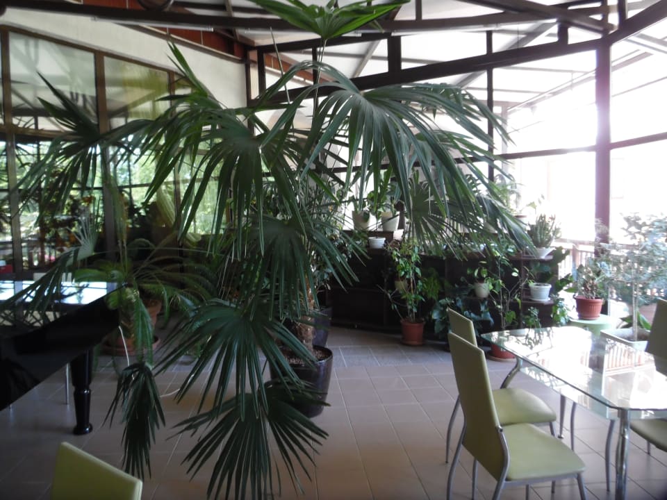 Lobby Hotel Estreya Residence