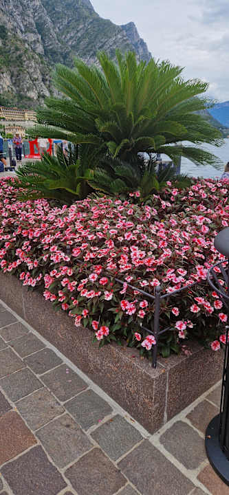 Gartenanlage Hotel Capo Reamol