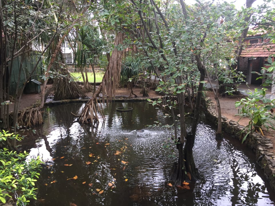 Gartenanlage Club Hotel Dolphin