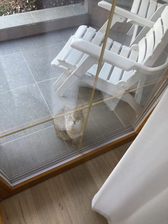 Zimmer Hotel Hochschober