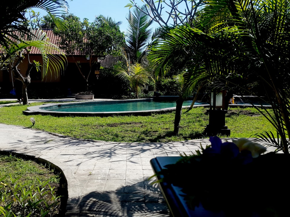 Pool Doubleyou Homestay Pemuteran