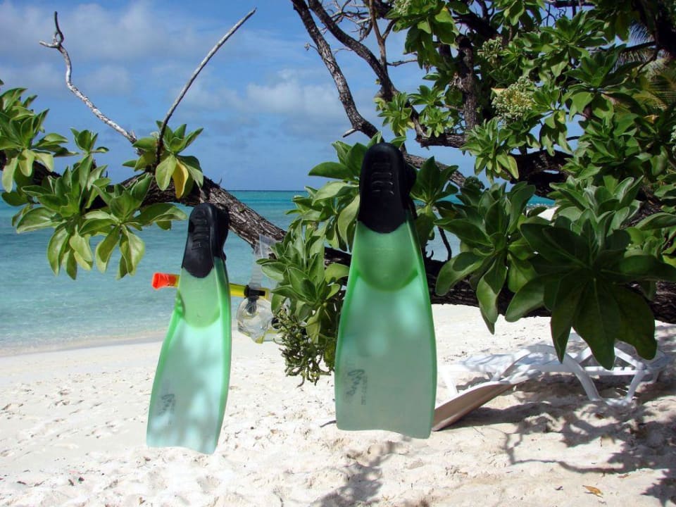 Schnorchelparadies im Indischen Ozean Summer Island Maldives