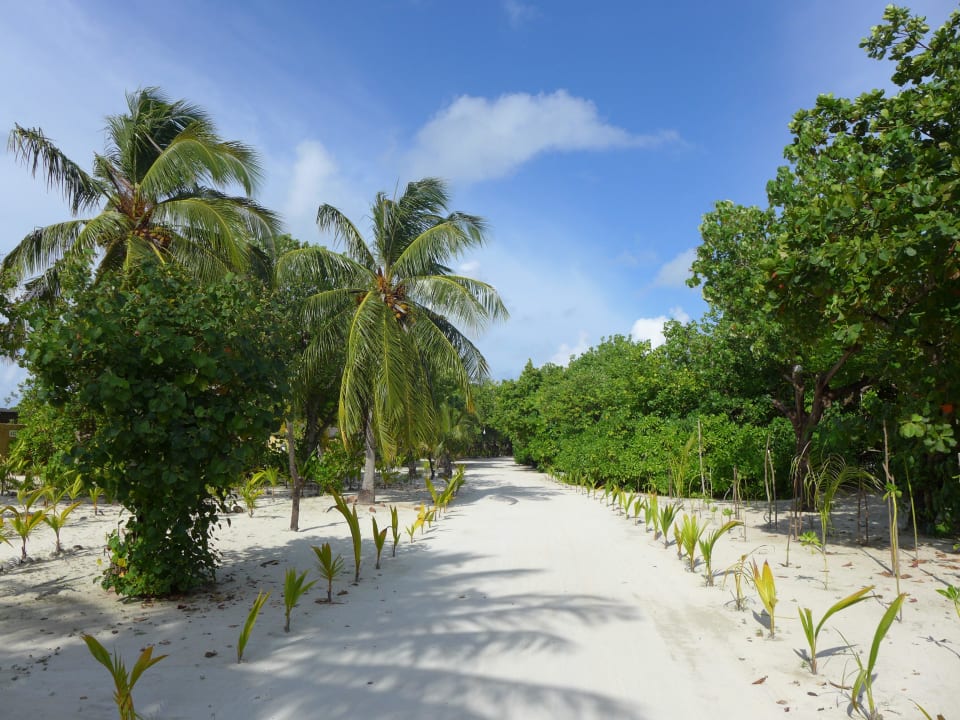 Weg zum Zimmer Kuredu Island Resort & Spa