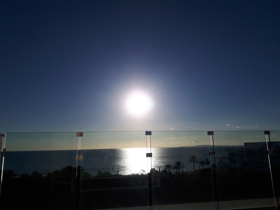 Ausblick Aparthotel Houm Plaza Son Rigo