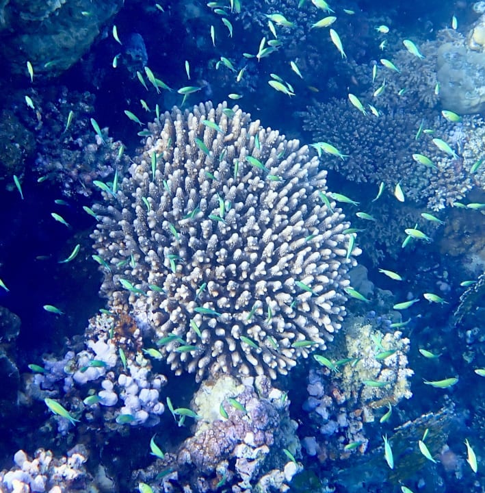 Sport & Freizeit Brayka Bay Resort