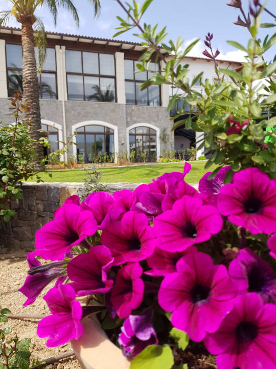 Außenansicht Creta Maris Resort